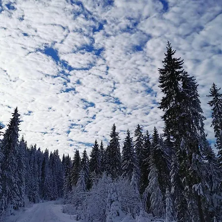 Wellness House Svjetlost Dom wakacyjny Jahorina