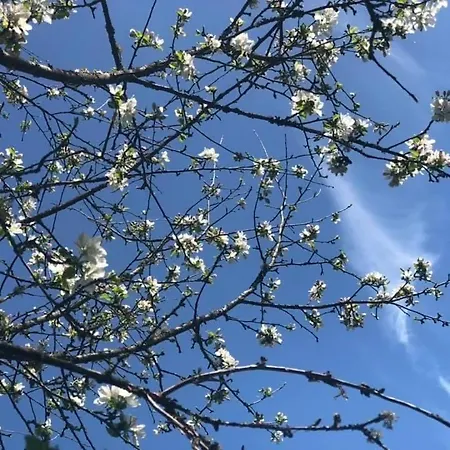 Wellness House Svjetlost Feriehus