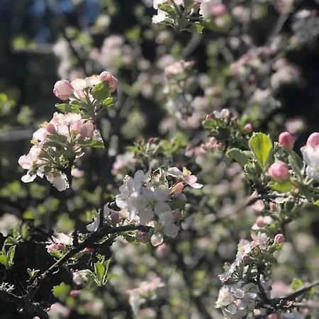 Feriehus Wellness House Svjetlost