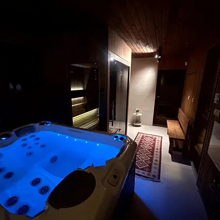 Wellness House Svjetlost 別荘 *